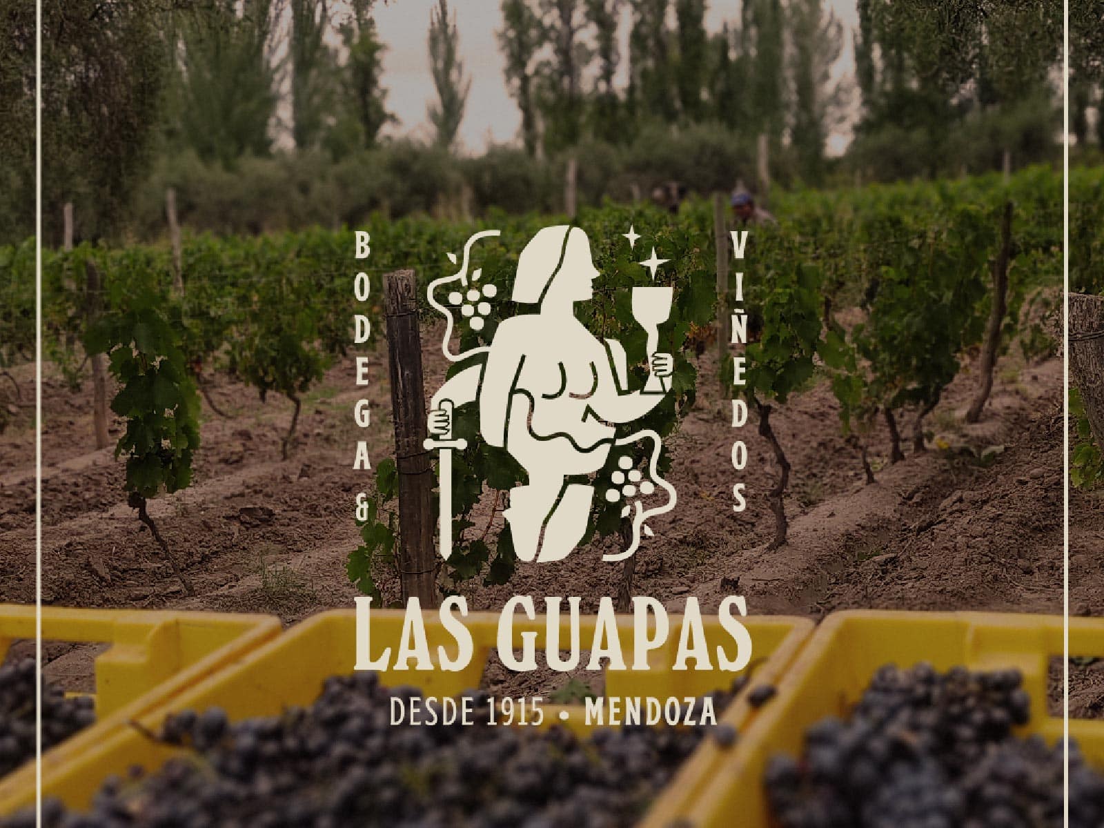Las Guapas Bodega y Restaurante
