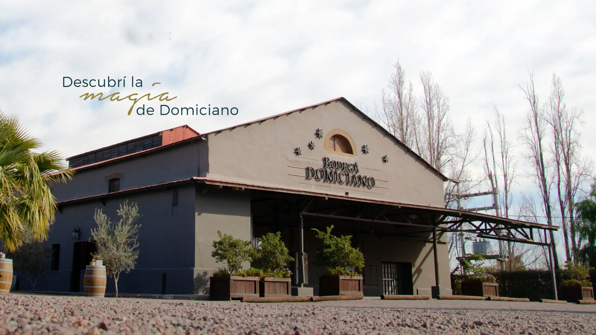 Bodega Domiciano