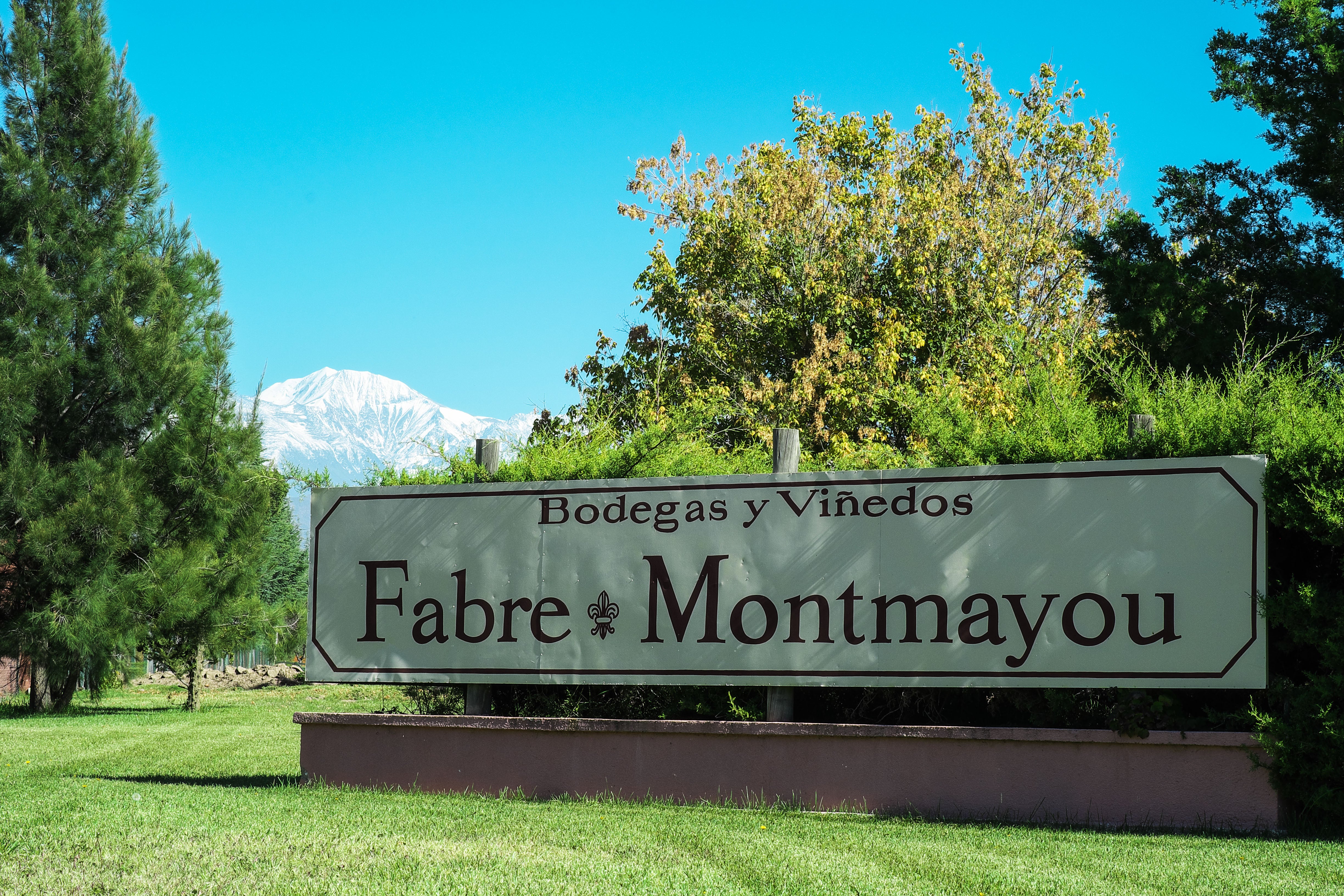 Fabre Montmayou