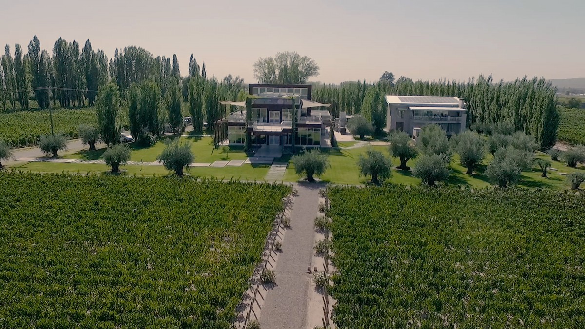 Bodega Matervini