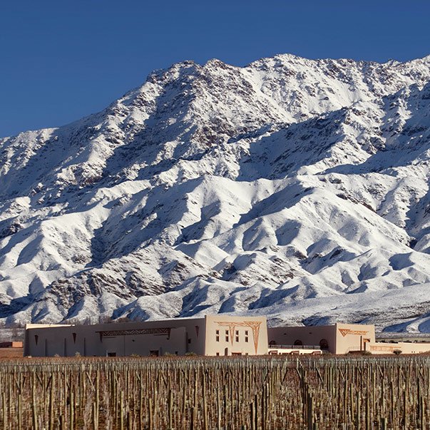 Flechas de los Andes
