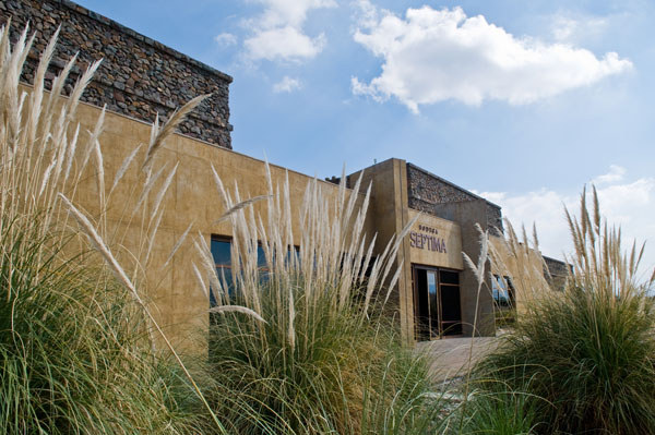 Bodega Séptima
