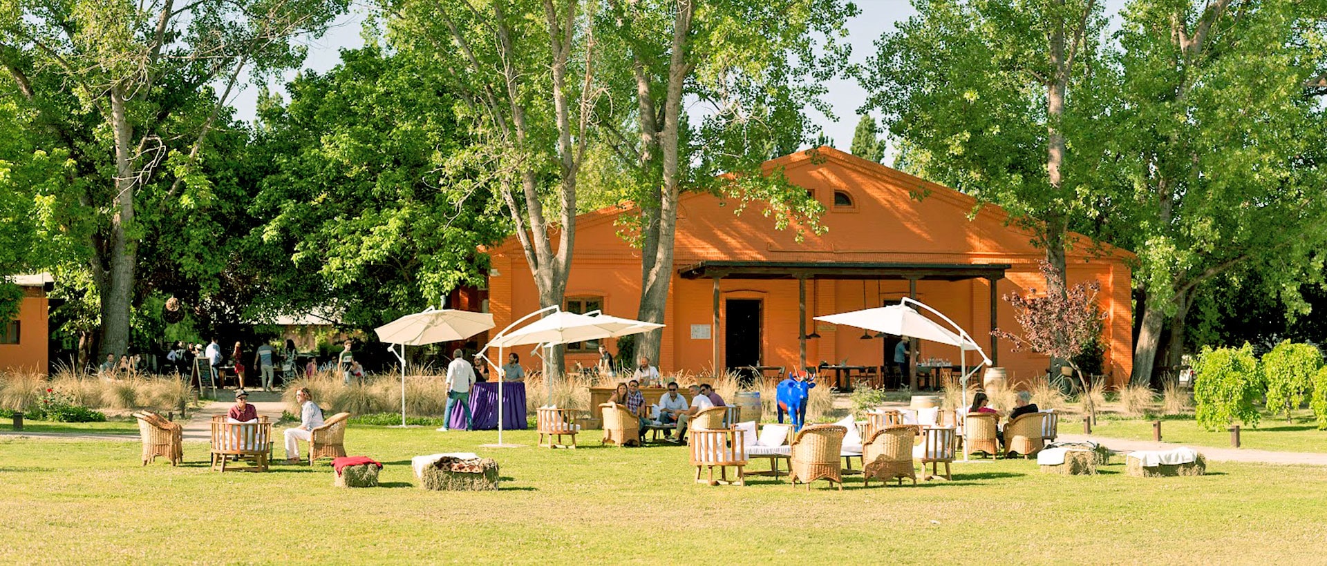 Finca La Anita